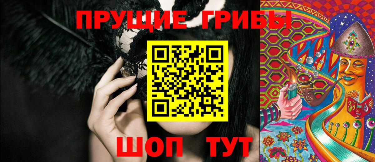 Галлюциногенные грибы Psilocybine cubensis  Вход с VPN  Александров 